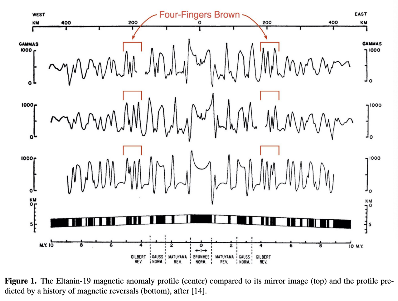 Figure 1. The Eltanin-19 magnetic anomaly profile (center) compared to its mirror image (top) and the profile predicted by a history of magnetic reversals (bottom), after [14].